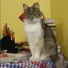Отзыв от Альфия Нефедова